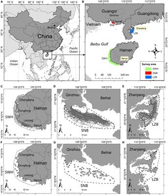 Group Size of Indo-Pacific Humpback Dolphins (Sousa chinensis): An Examination of Methodological and Biogeographical Variances